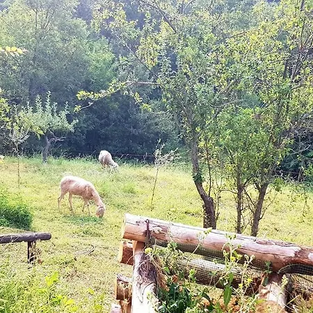 Lägenhet La Balotta Sport-natura-relax *