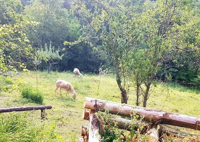 Lägenhet La Balotta Sport-natura-relax *
