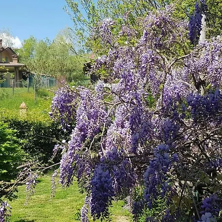 Lägenhet La Balotta Sport-natura-relax *