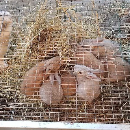 La Balotta Sport-natura-relax Lägenhet Marola (Reggio Emilia)