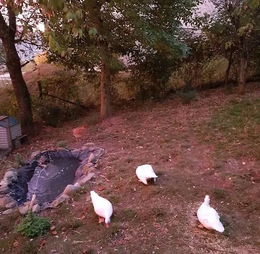 La Balotta Sport-natura-relax